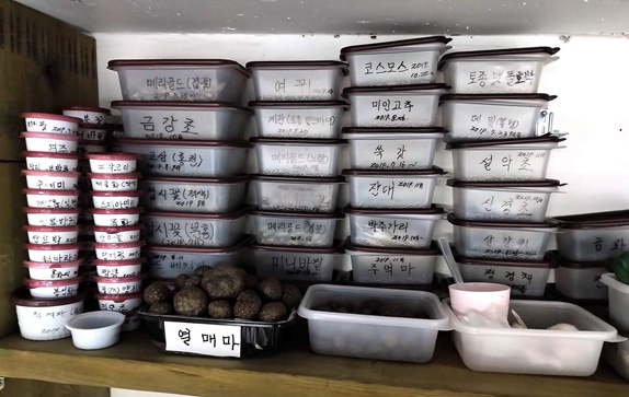강동약초학교협동조합 이미지
