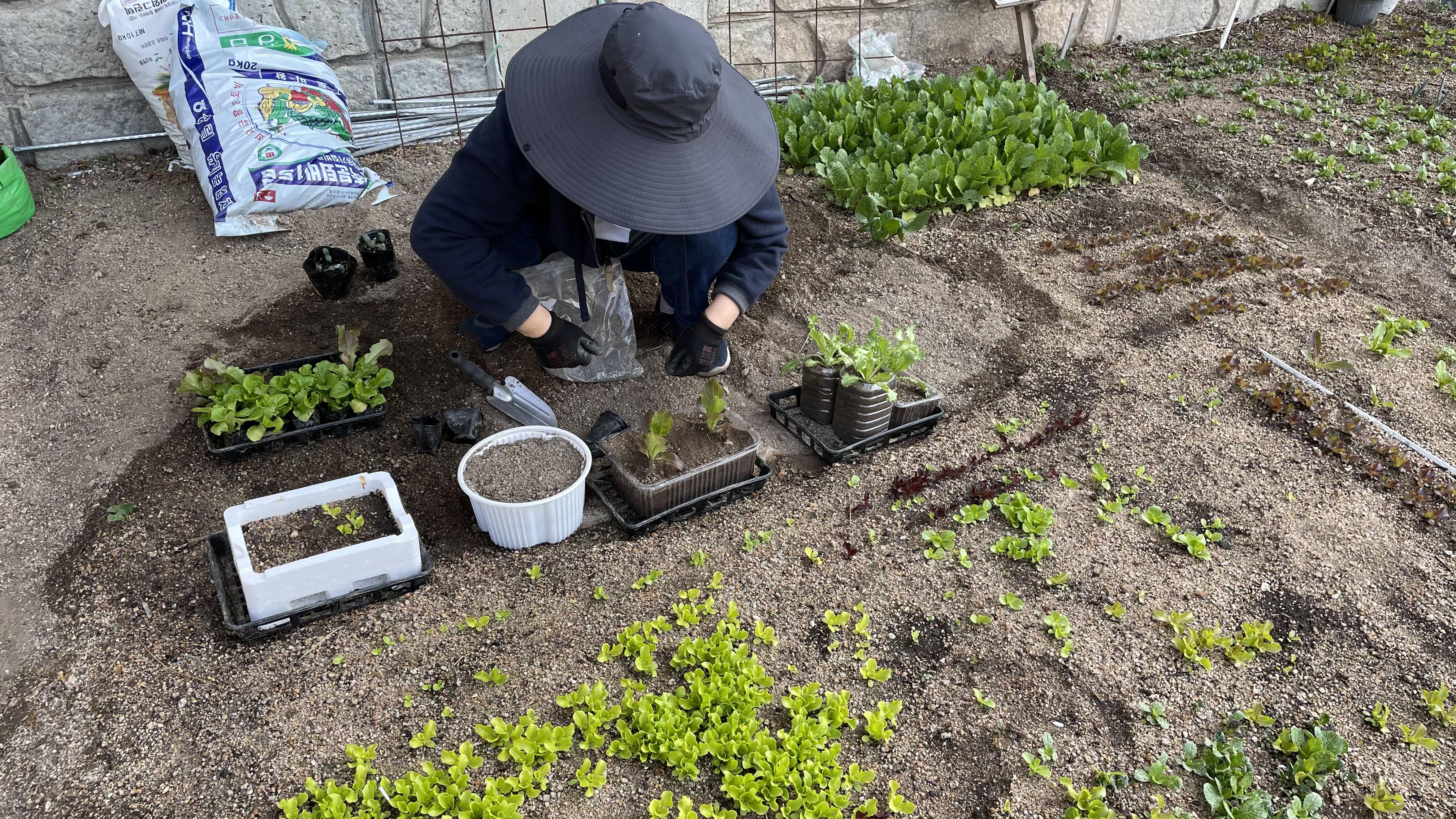 봄 농사 준비가 한창인 혜윰뜰 회원