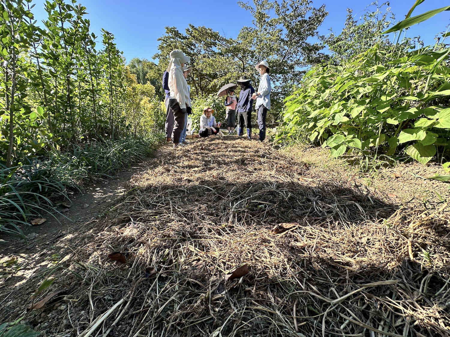 실습텃밭 작업 첫번째