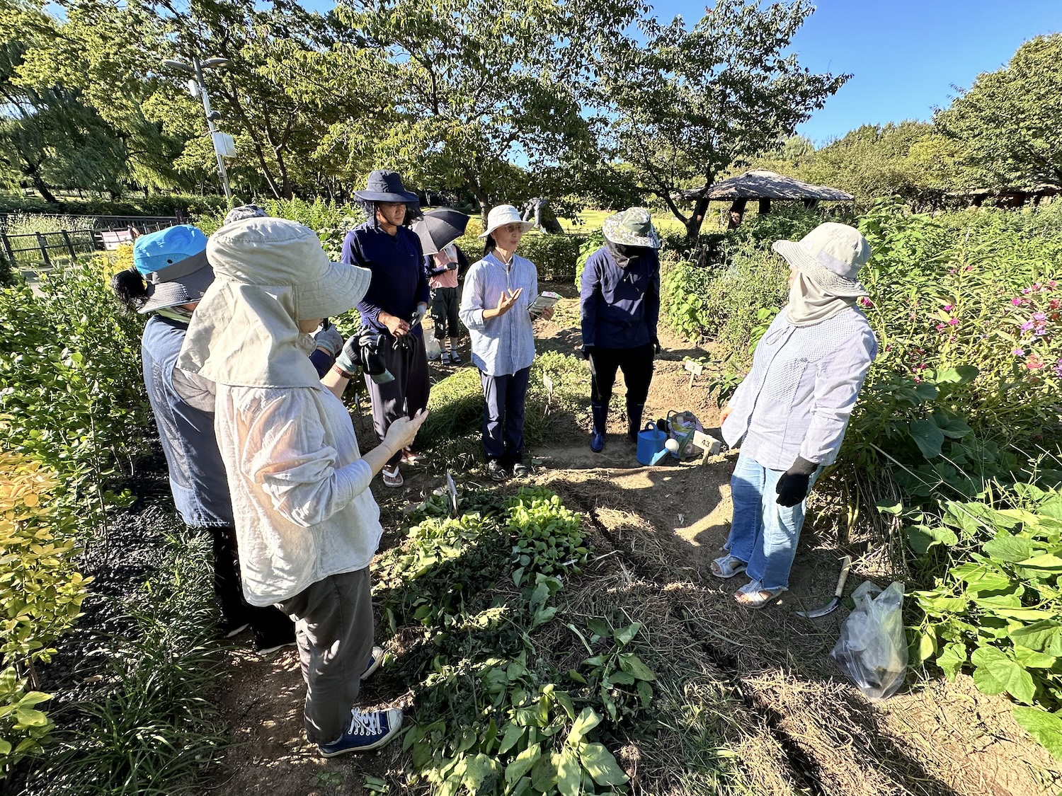 실습텃밭 작업 다섯번째