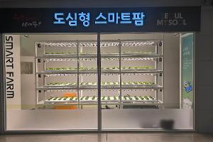 조성현황사진 (1)